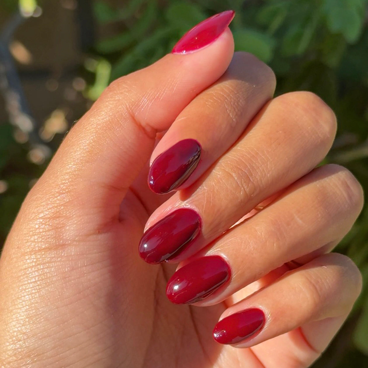 Mulberry - Gel on natural nails in a deep maroon shade with a glossy, long-lasting manicure by Olive and June